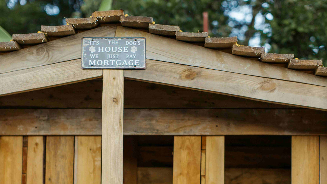 Ultimate Guide to Choosing the Perfect Outdoor Dog House