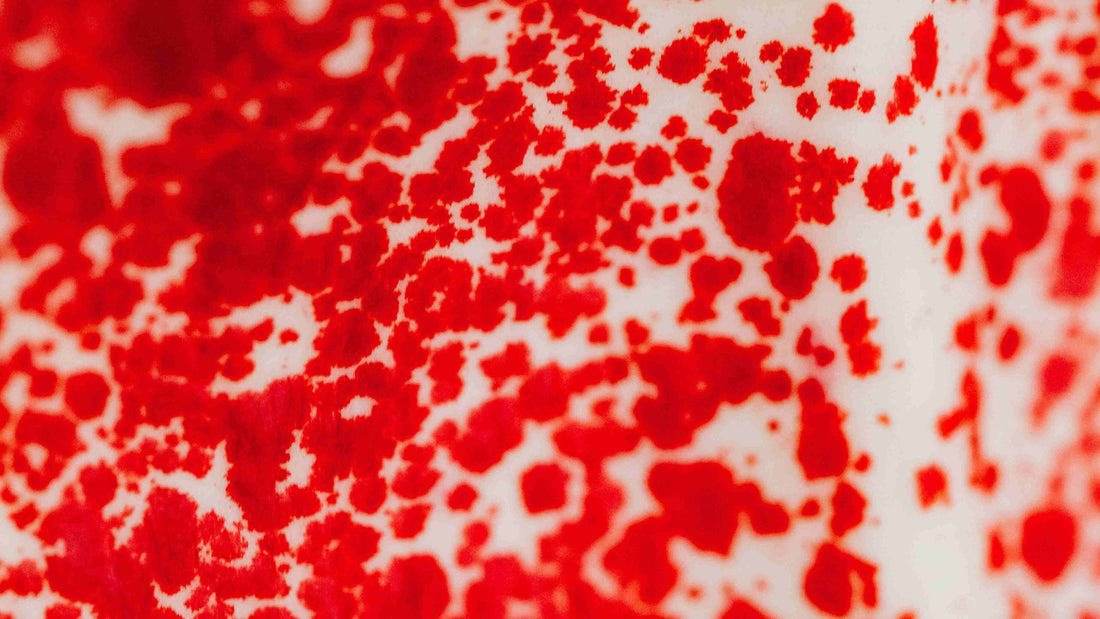Blood in Dog Urine: A Comprehensive Guide to Causes, Treatment, and Prevention