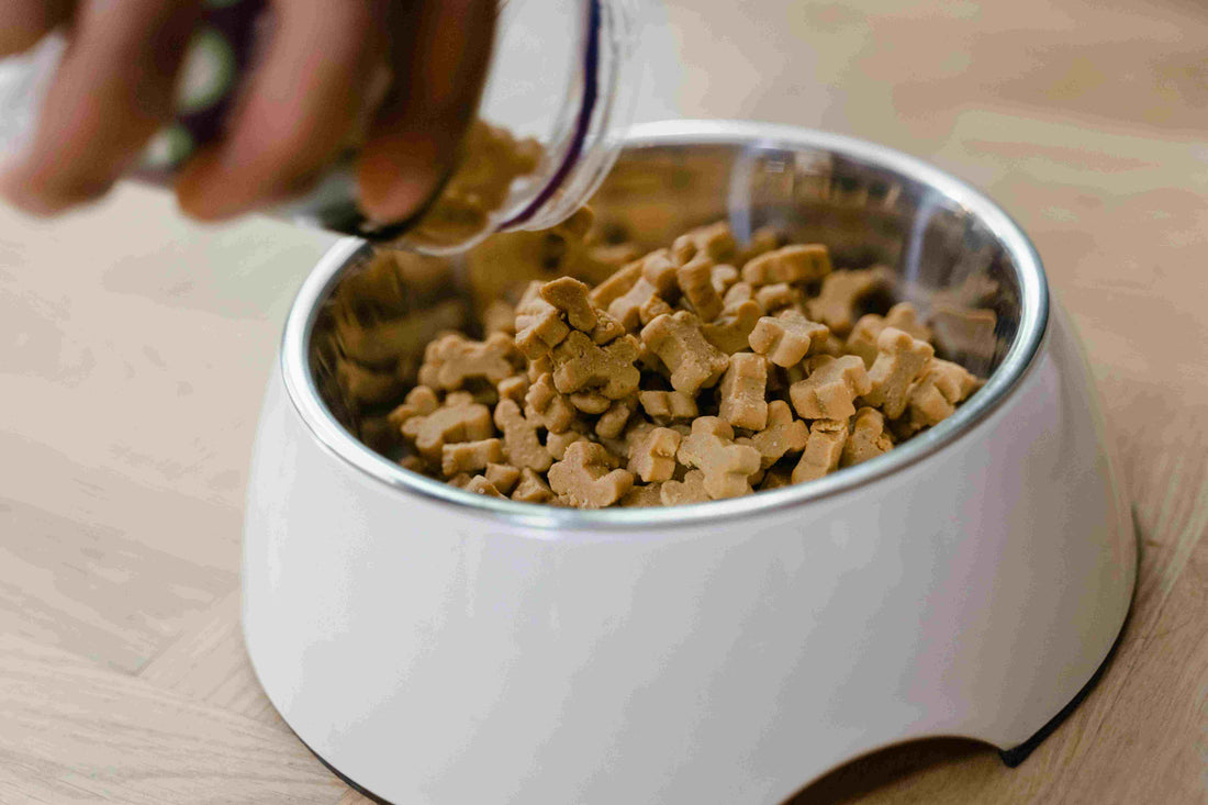 How Much Dog Food Should Your Dog Eat? A Comprehensive Guide to Feeding Your Dog