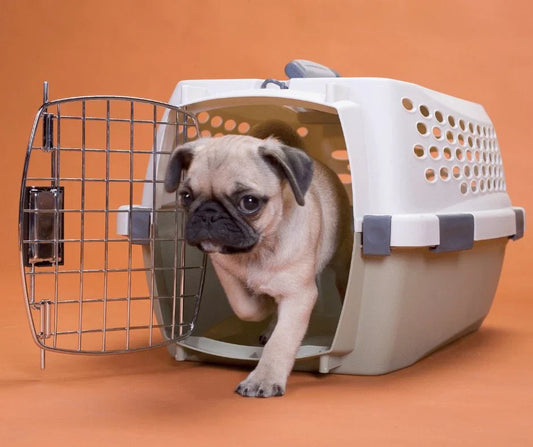 Best Travel Crates and Carriers for Pets in 2024