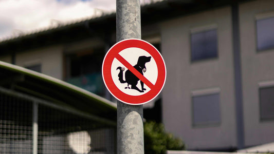 Understanding Abnormal Dog Stool: A Guide to Black Poop, Blood, and Mucus