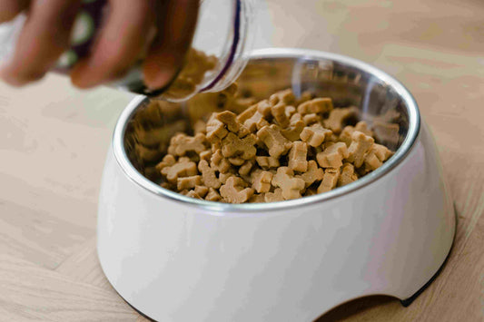 How Much Dog Food Should Your Dog Eat? A Comprehensive Guide to Feeding Your Dog