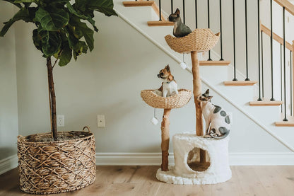 Modern Cat Tree Tower for Large Cats, Real Branch Luxury Cat Condo, Wood Scratching Tree