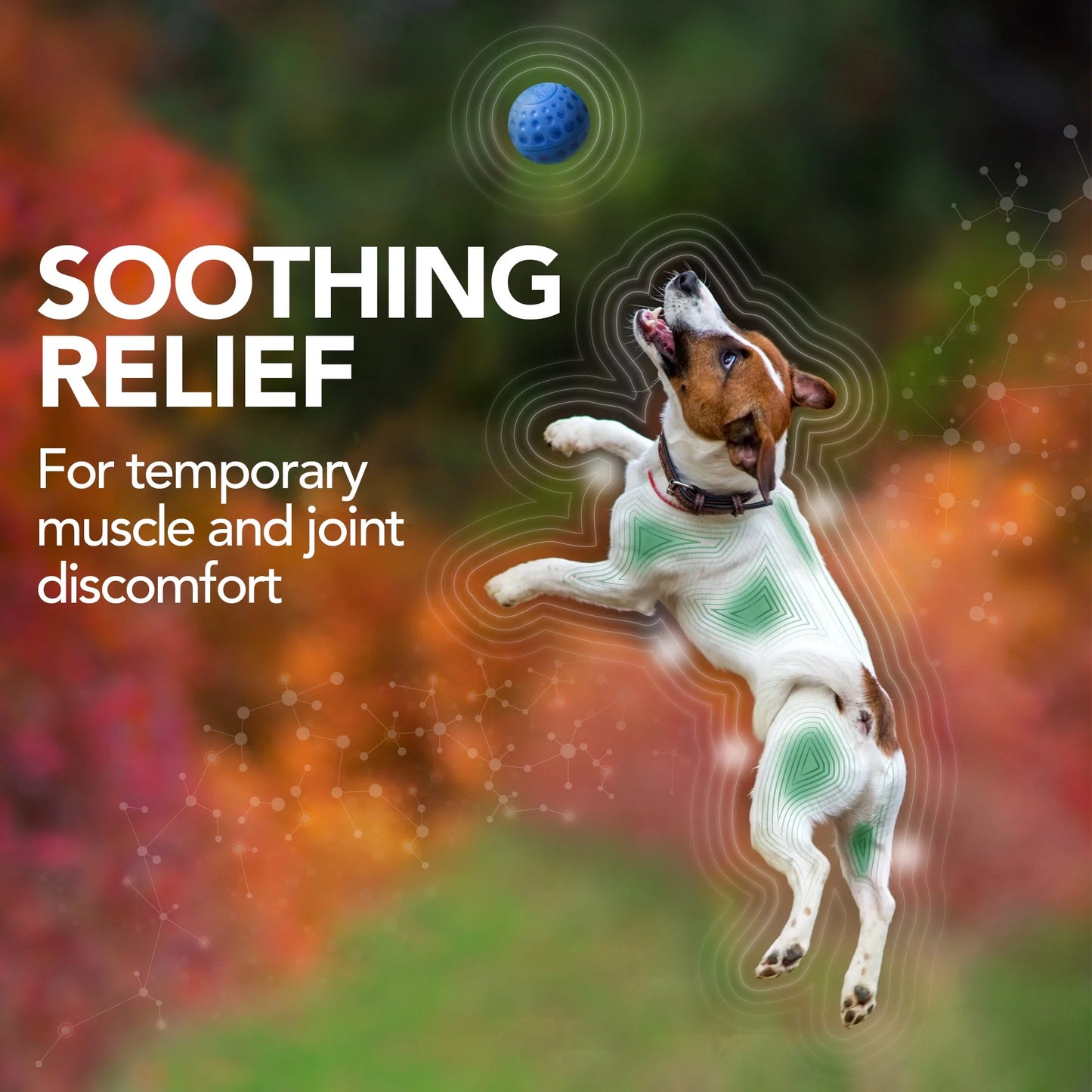 Vet's Best Aches + Pains Dog Supplement | Relief for Occasional Discomfort, Hip and Joint Support