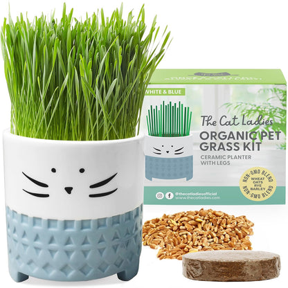 Organic Cat Grass for Indoor Cats  Growing Kit with Organic Seed Mix Soil and White Cat Planter. Natural Hairball Control and Digestion Remedy