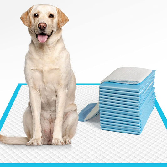 X-Large Training Dog Pee Pads Super Absorbent & Leak-Proof