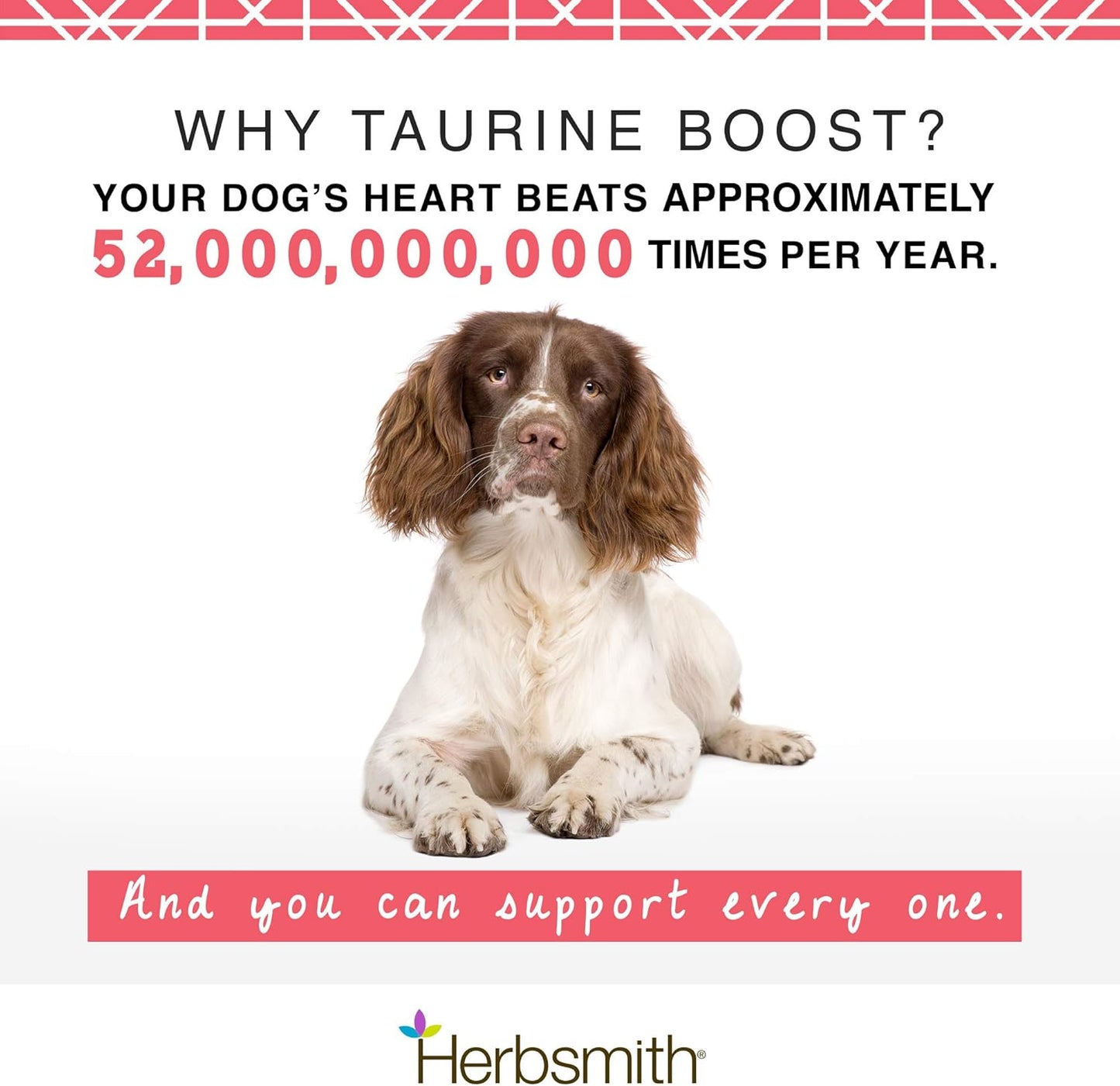 Taurine Boost - Cardiac and Heart Support for Dogs and Cats | With CoQ10, Taurine, and L-Carnitine | Advanced Heart Health Supplement