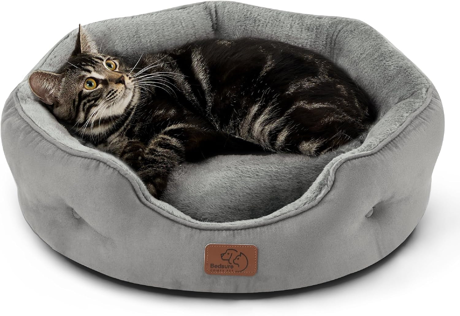 Dog Beds for Small Dogs - round Cat Beds for Indoor Cats, Washable Pet Bed for Puppy and Kitten with Slip-Resistant Bottom, 20 Inches, Antique Green