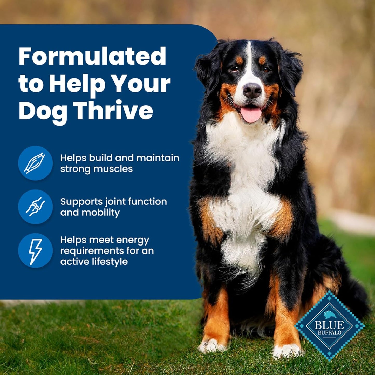  Adult Dry Dog Food for Strong Muscles Life Protection Formula