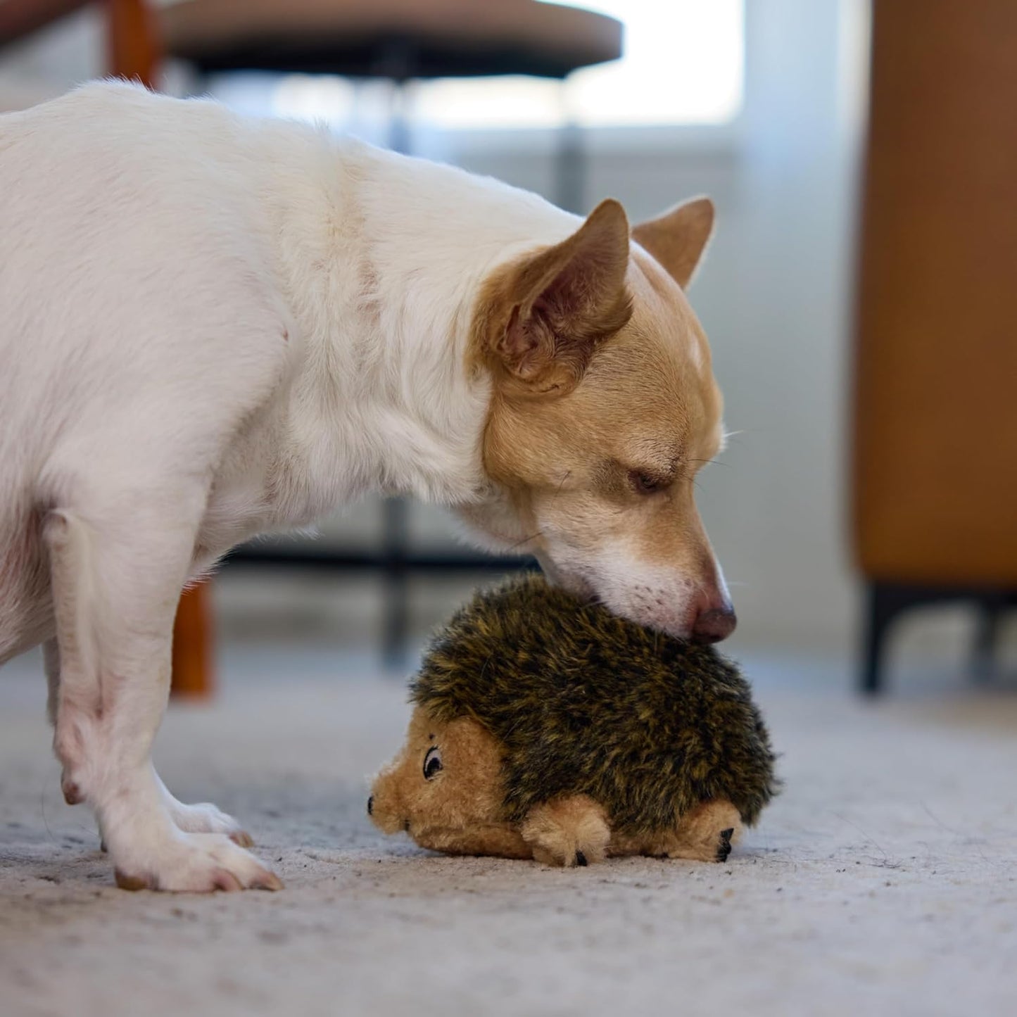 Hedgehogz Squeaking Plush Dog Toy for Play and Snuggling