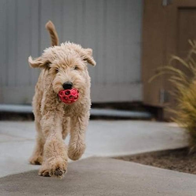 Pet Roller Dog Toy Training Puzzle Ball, Natural Rubber for Small to Medium Dogs Colors May Vary