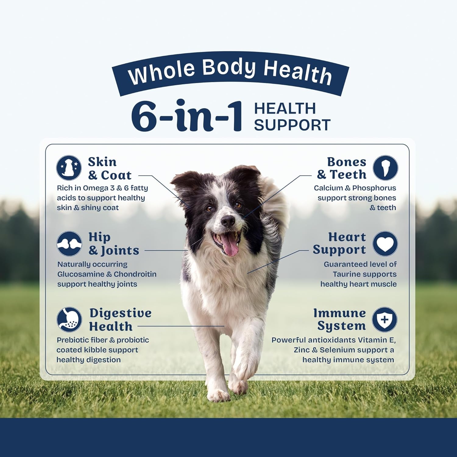 Health Protection Dry Dog Food for Digestive Wellness 6-IN-1