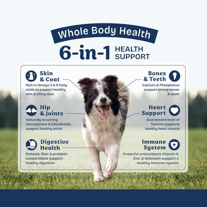 Health Protection Dry Dog Food for Digestive Wellness 6-IN-1