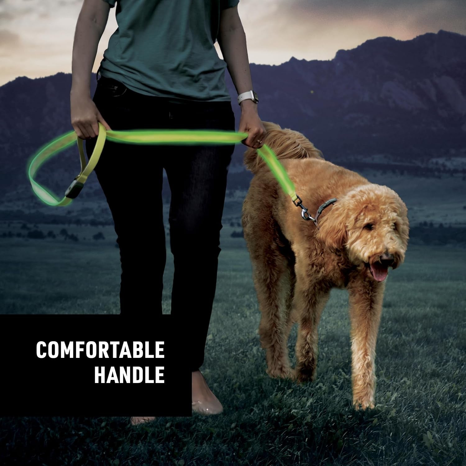 Nite Ize NiteDog Rechargeable LED Leash | Padded Handle, Water-Resistant, 5 Feet