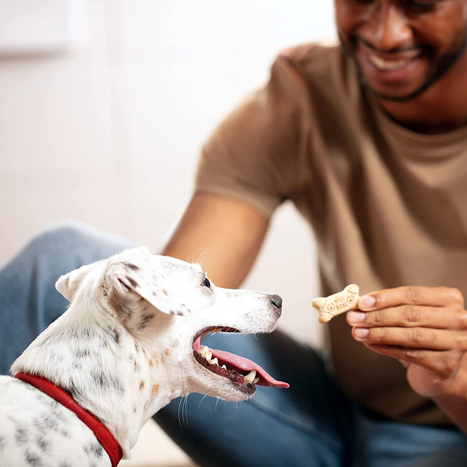 Milk-Bone Original Biscuits Dog Treats USA Made