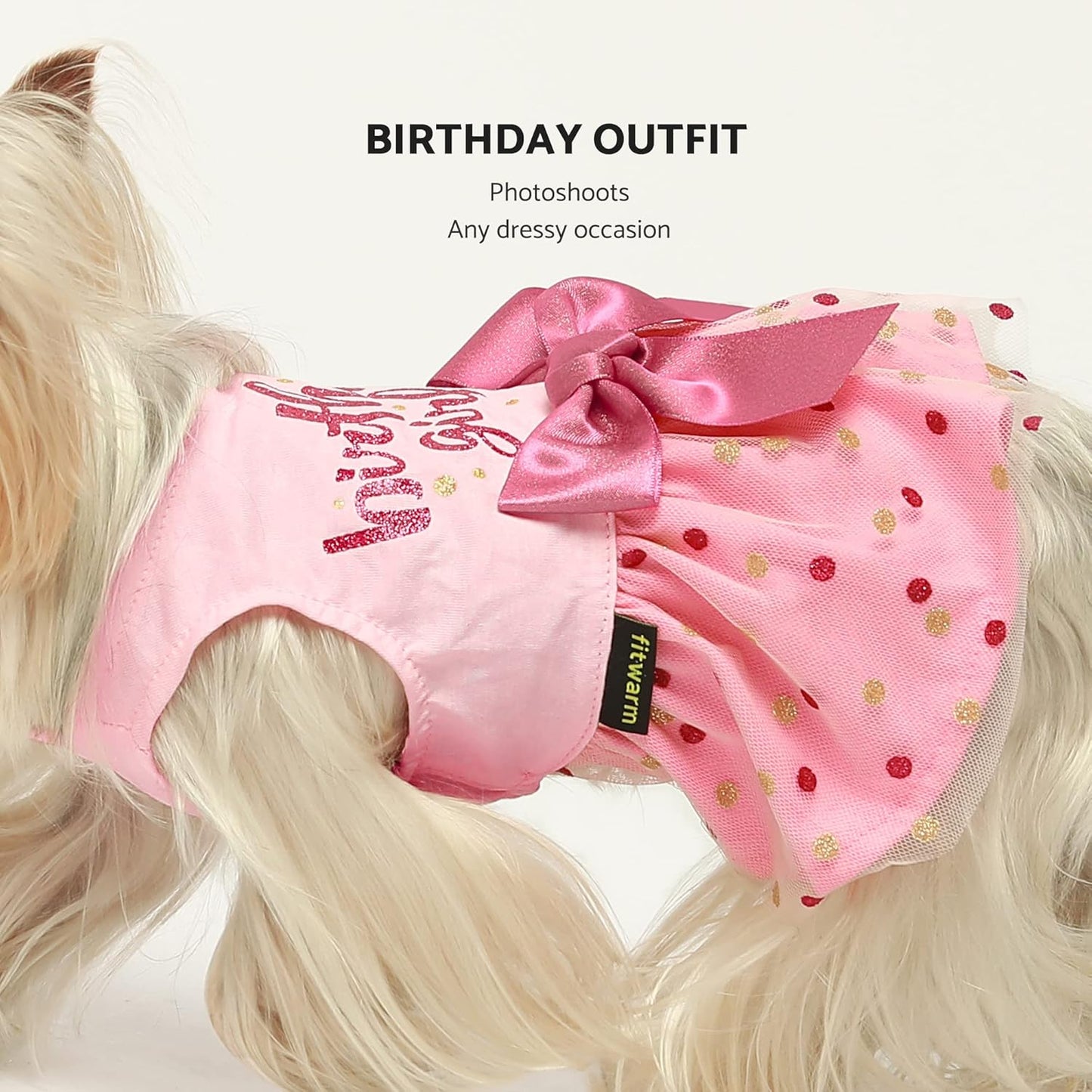 Birthday Girl Tulle Dress for Small Dogs Cat, Pink