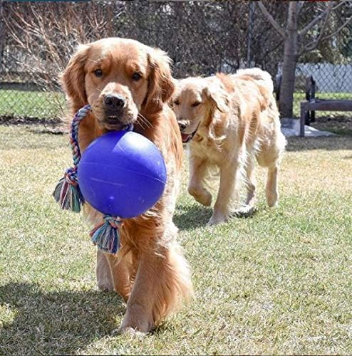 Interactive Fetch Romp-N-Roll Rope and Ball Dog Toy Small Medium Large Non Toxic