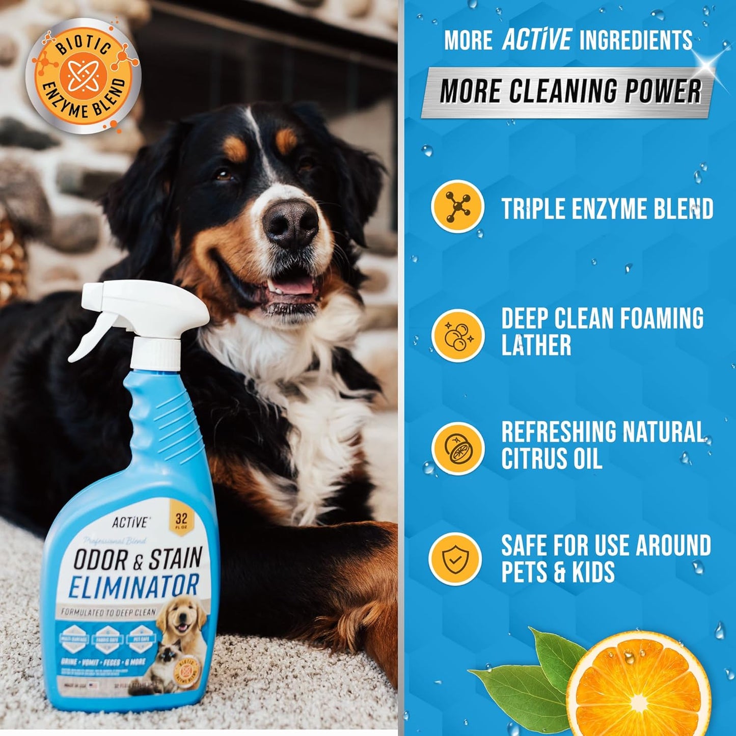 Pet Odor and Stain Eliminator - 32 Oz  Enzyme Cleaner for Dog & Cat Urine, Stain Remover Spray for Carpet, Upholstery, Hardwood, Spot Cleaning Natural Citrus Oil