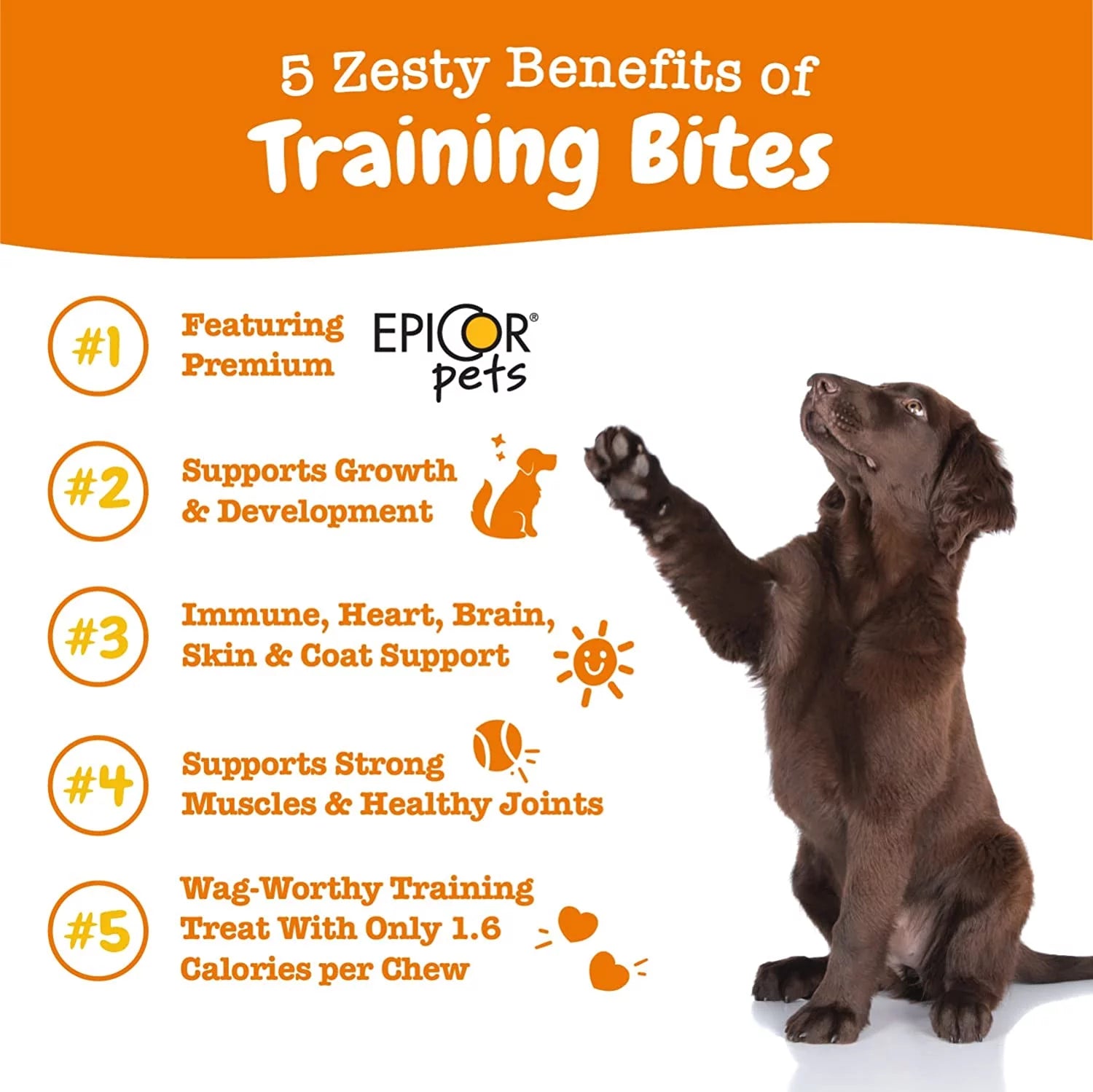 Zesty Paws All-In-One Training Treats for Dogs | 8 oz Soft Chews