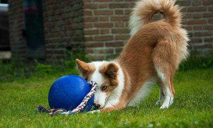 Interactive Fetch Romp-N-Roll Rope and Ball Dog Toy Small Medium Large Non Toxic