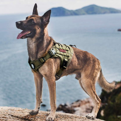 Tactical Dog Harness No-Pull | Breathable & Adjustable Pet Vest with Handle | Ranger Green, Small