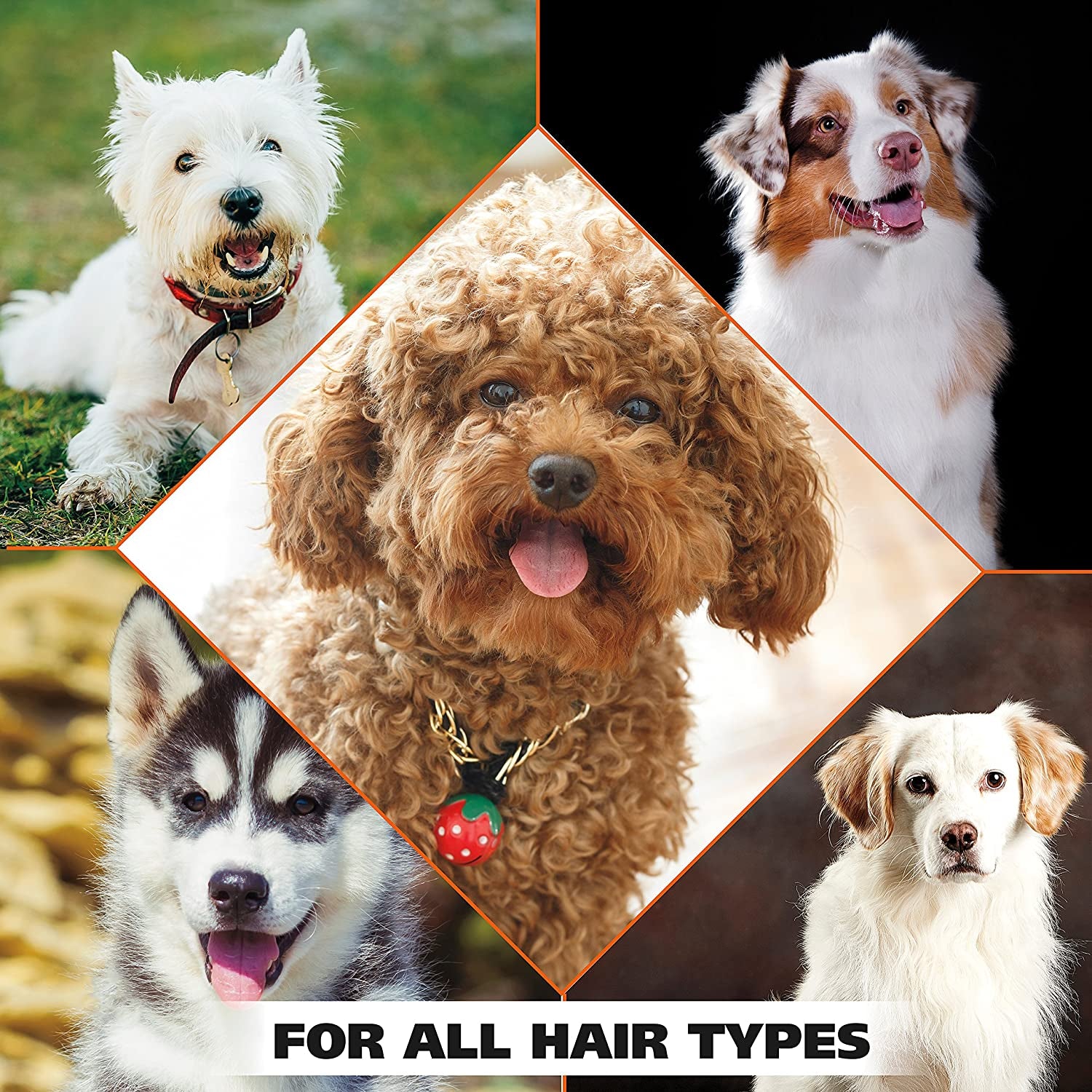 4-In-1 Calming Pet Shampoo for Dogs Pet Friendly Formula