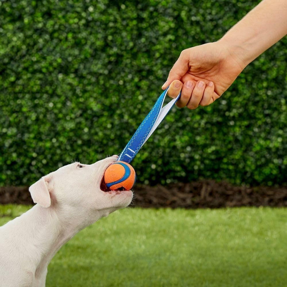 Ultra Tug Dog Toy, Small Fetch and Dog Ball Tug Toy for Dogs 0-20 Pounds