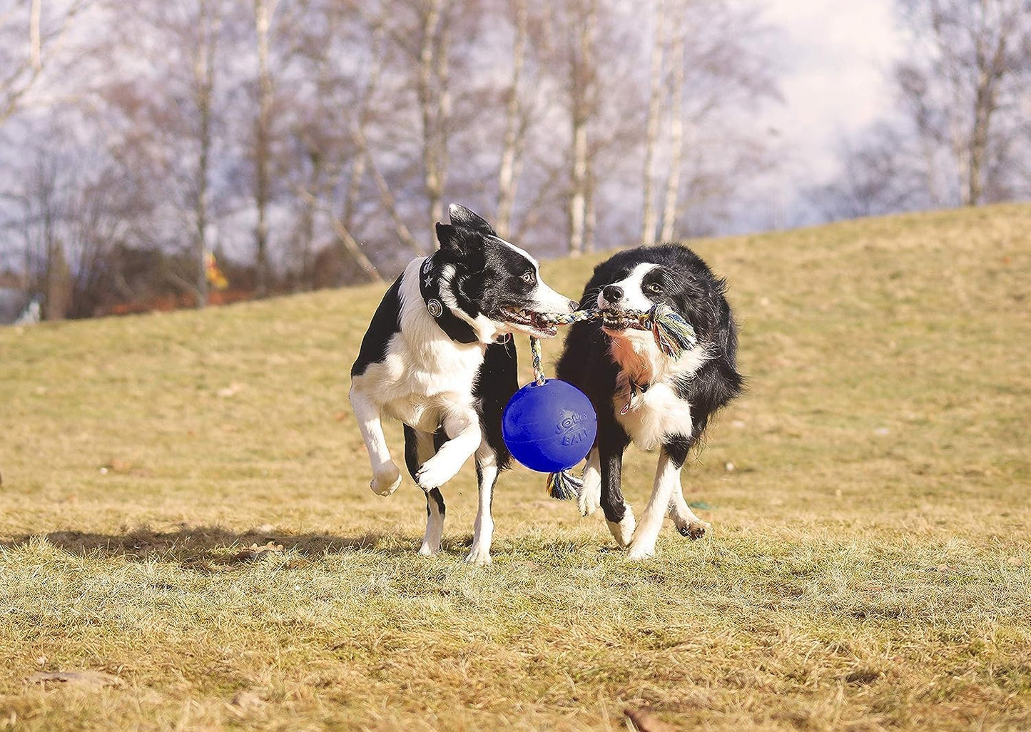 Interactive Fetch Romp-N-Roll Rope and Ball Dog Toy Small Medium Large Non Toxic