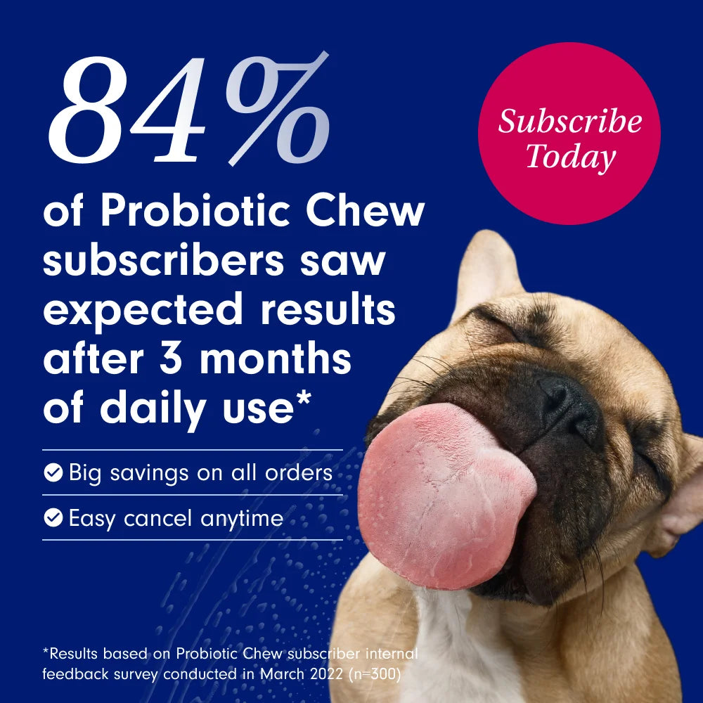 PetLab Co. Probiotic Chews | Delicious Soft Chew Probiotics for Dogs | 30 Ct. | Supports Gut Health, Skin Health, Digestion, and Immune Function