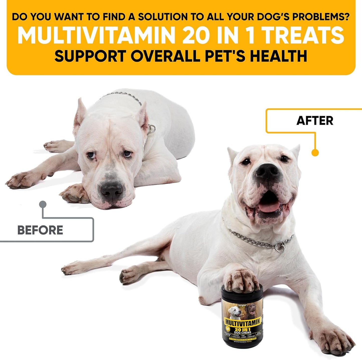 20-In-1 Dog Multivitamin Supplements - Immunity, Digestion, Joint and Heart Health Support - Natural Dog Vitamins with Biotin, Msm, Cranberry, Glucosamine for Dogs - 180 Chews