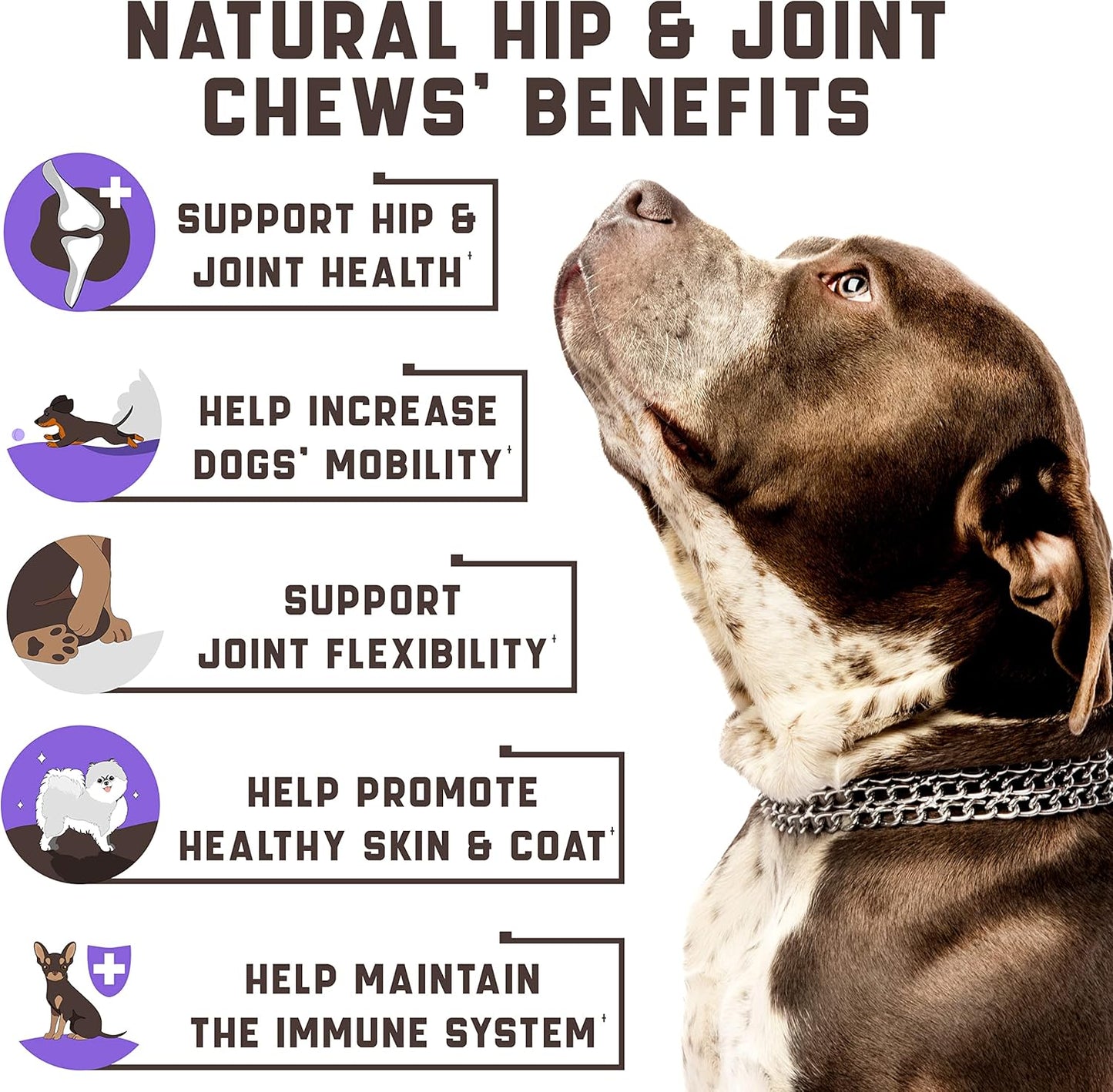 Hemp Joint Supplement for Dogs Supports Hip and Joint Heath for All Breeds and Ages - 180 Dog Chews, Duck