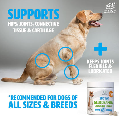 Glucosamine for Dogs with Chondroitin and MSM - Hip and Joint Supplement for Dog Mobility Support and Arthritis Pain Relief - 500 Chewable Tablet