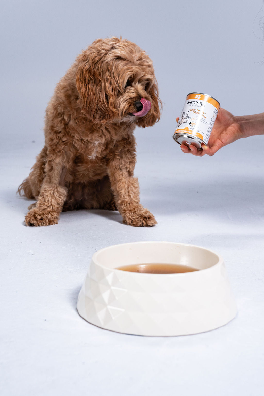 Nectar of the Dogs Calm + Relax Soluble Powder | 150g | Vet-Formulated, Human-Grade Supplement