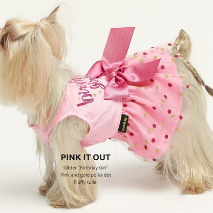 Birthday Girl Tulle Dress for Small Dogs Cat, Pink