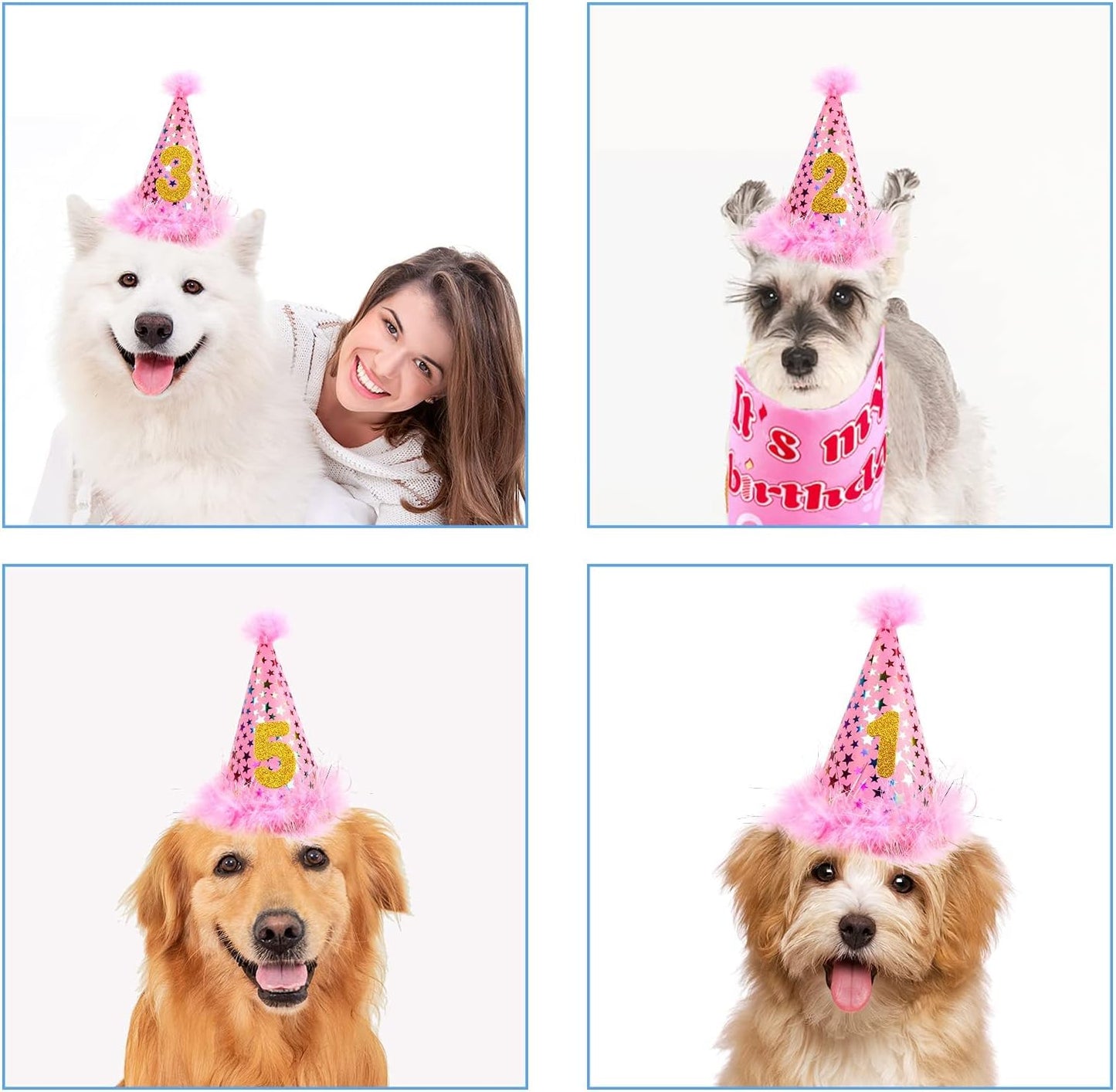 Dog Birthday Party Supplies Decorations