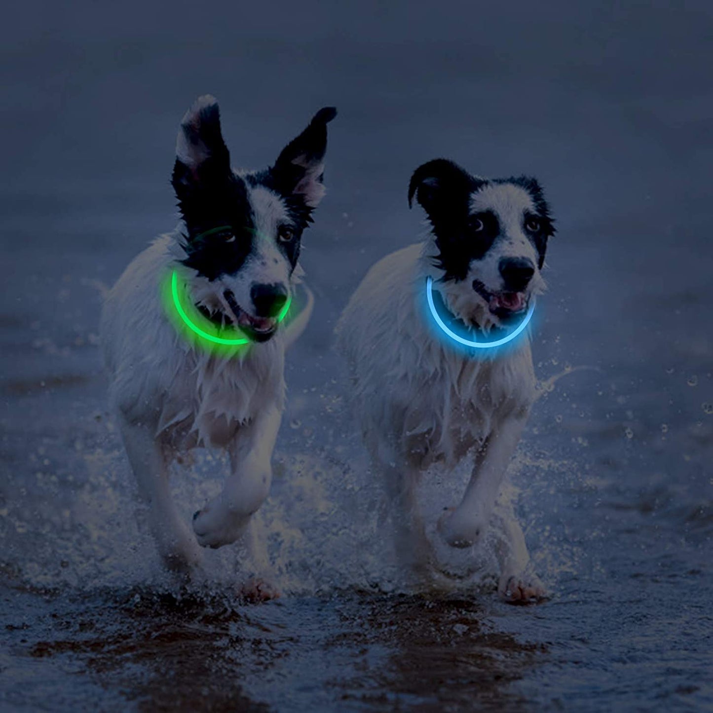 2-Pack Rechargeable Light up LED Dog Collar Universal