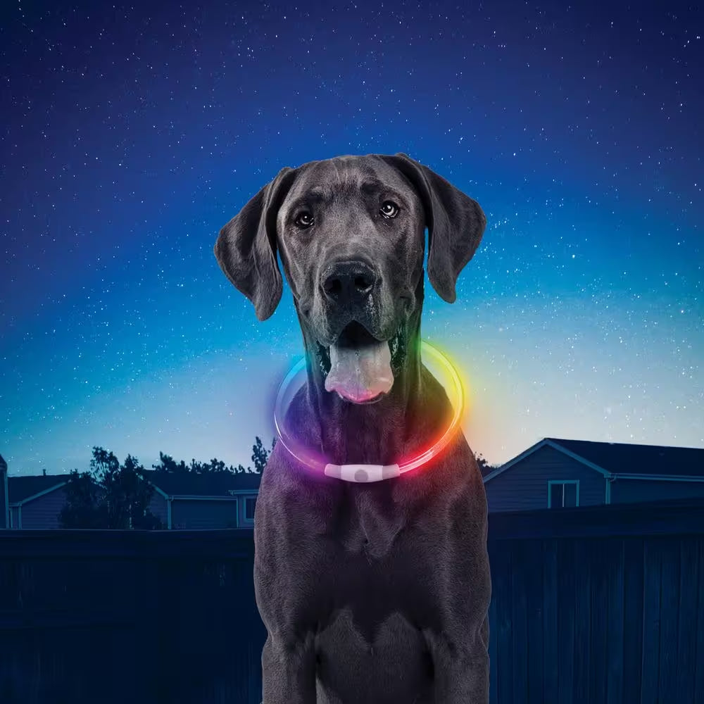 Nite Ize NiteHowl LED Rechargeable Dog Collar | Multiple Color Select & Disco Mode