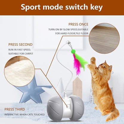 Automatic Cat Toys Interactive Feather Toys, Pet Exercise Electric Toys for Indoor Cats/Kitten with Feather