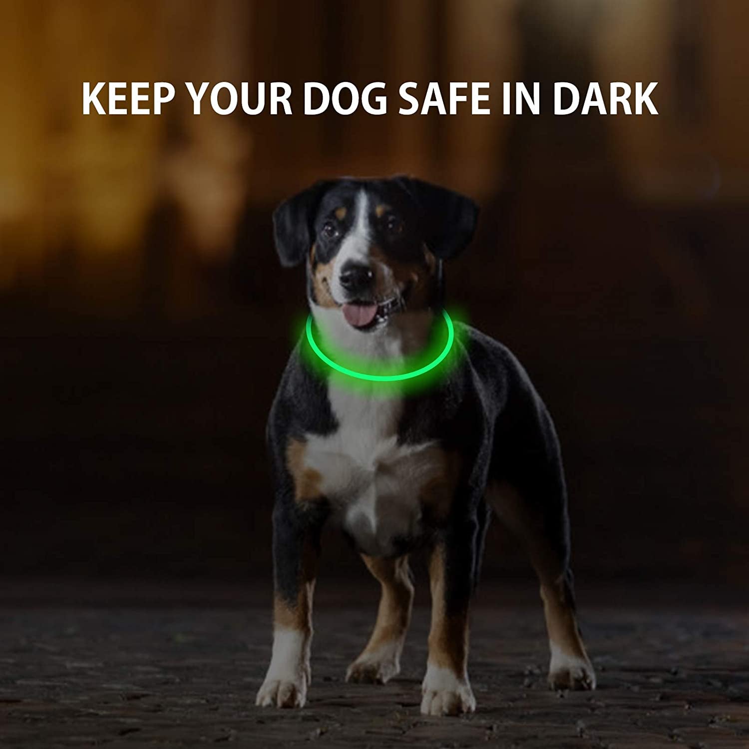 2-Pack Rechargeable Light up LED Dog Collar Universal