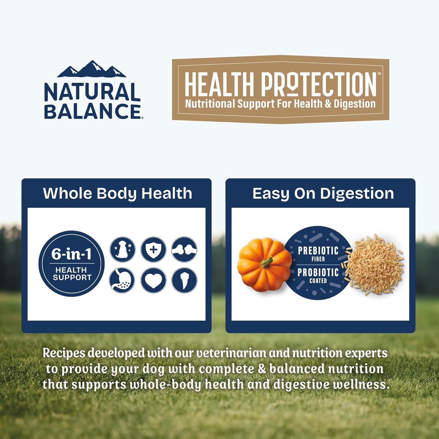 Health Protection Dry Dog Food for Digestive Wellness 6-IN-1