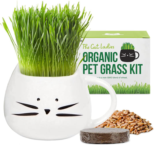 Organic Cat Grass for Indoor Cats  Growing Kit with Organic Seed Mix Soil and White Cat Planter. Natural Hairball Control and Digestion Remedy