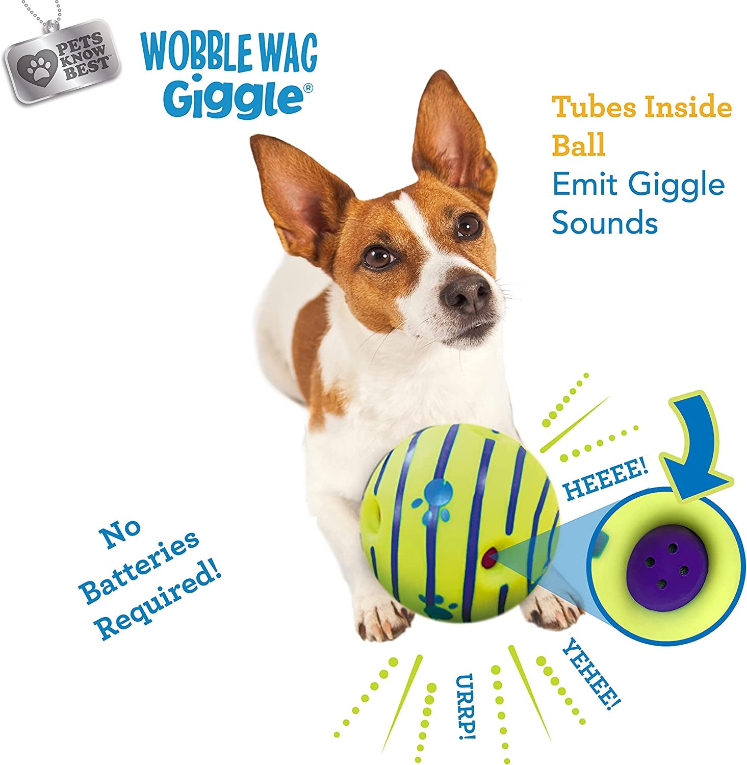 Interactive Ball Dog Toy Fun Giggle Sounds When Rolled or Shaken Pets Know Best Giggling Sound