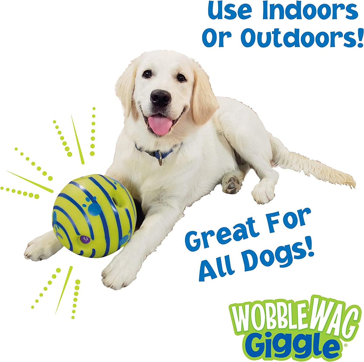 Interactive Ball Dog Toy Fun Giggle Sounds When Rolled or Shaken Pets Know Best Giggling Sound