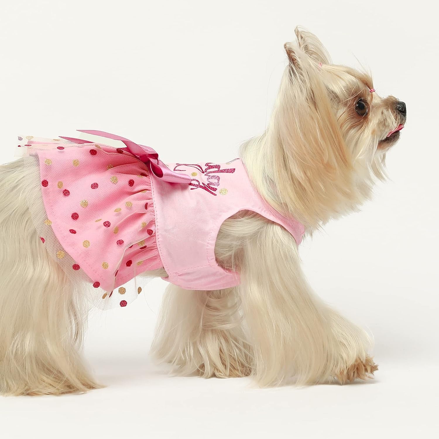 Birthday Girl Tulle Dress for Small Dogs Cat, Pink