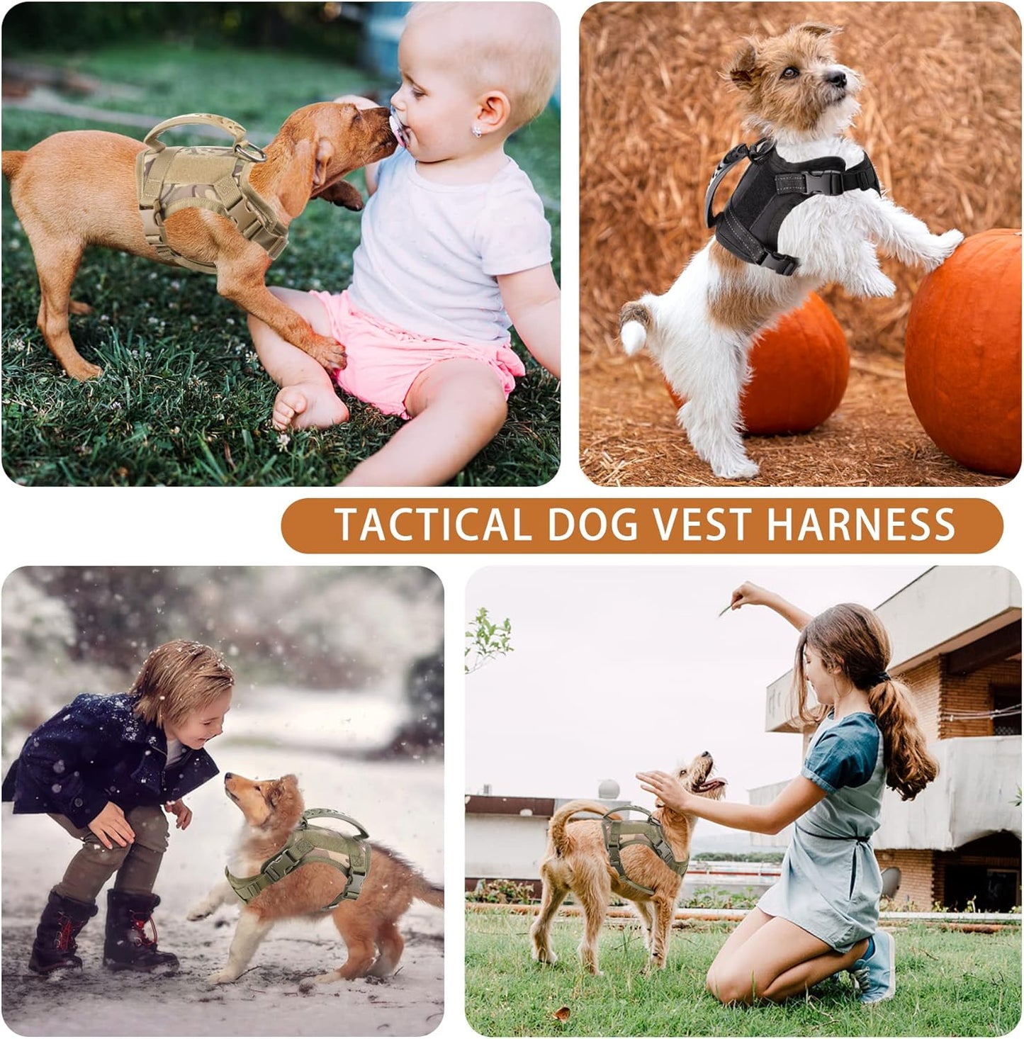 Tactical Dog Harness for Small Dogs with Handle