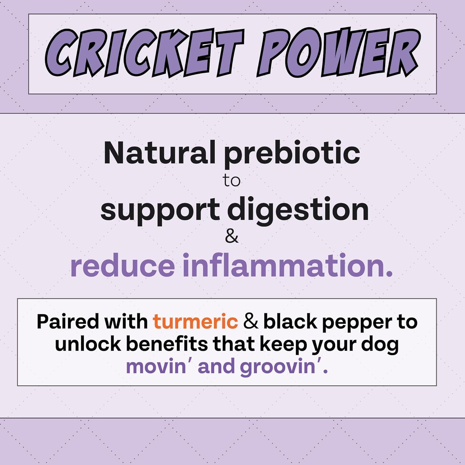 Chippin Blueberry Cricket Antioxidant Dog Biscuit | Natural Joint Health | Made in USA | Chicken-Free, Hypoallergenic, Human-Grade Novel Protein | Puppy & Senior Dogs | 2-Pack!