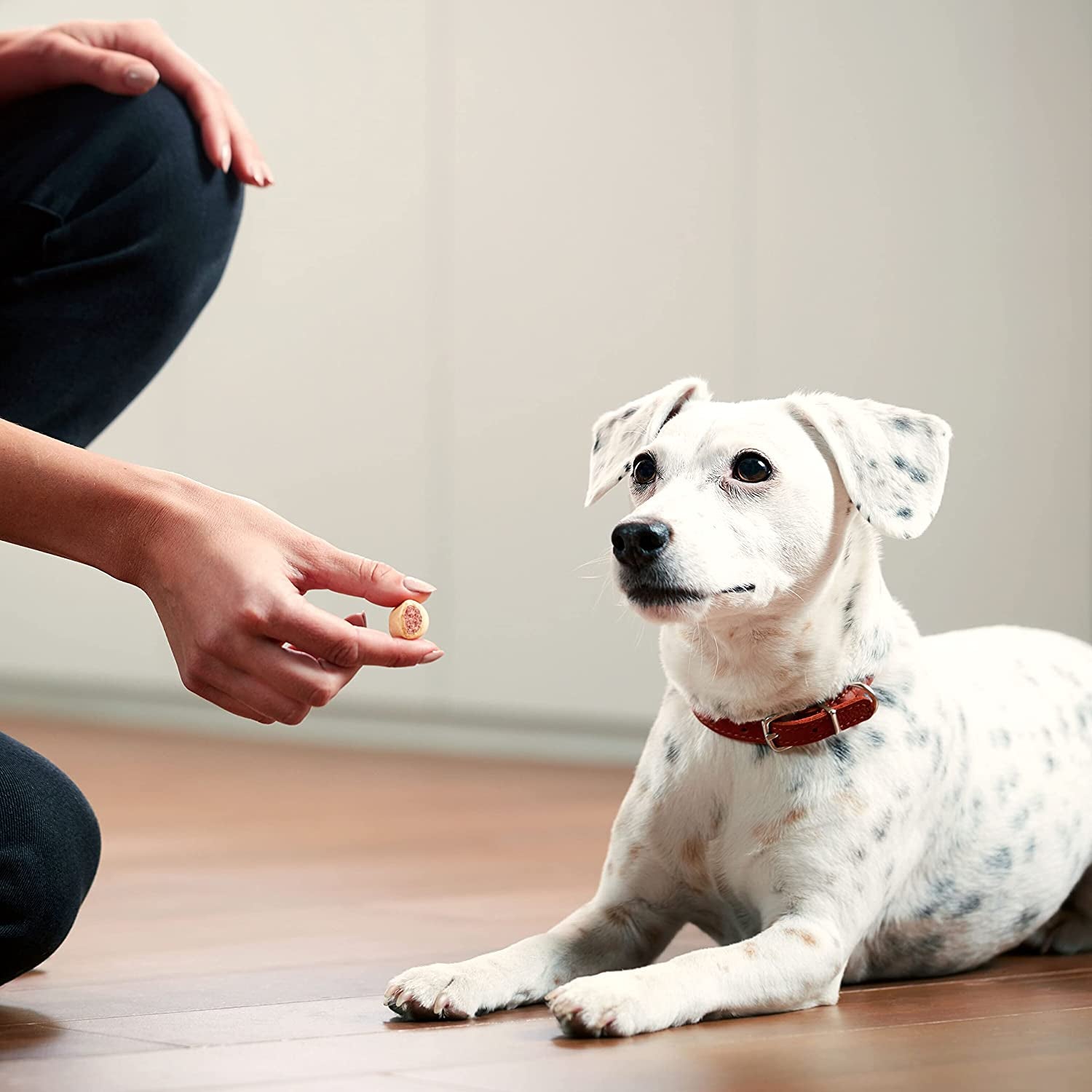 Milk-Bone Marosnacks Small Dog Treats with Bone Marrow