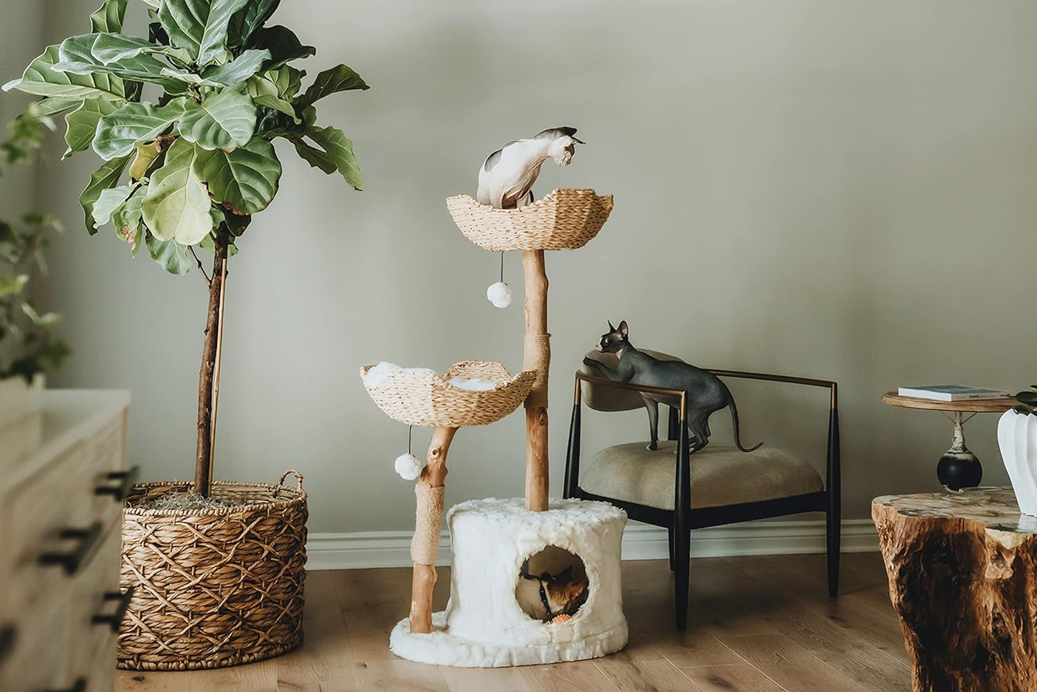 Modern Cat Tree Tower for Large Cats, Real Branch Luxury Cat Condo, Wood Scratching Tree