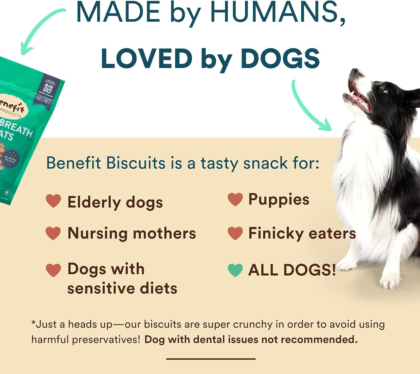 Benefit Biscuits - All Natural Dog Treats | Certified Vegan | Non-GMO | Wheat Free | Healthy Dog Biscuits | Made in USA | Multiple Flavors & Sizes