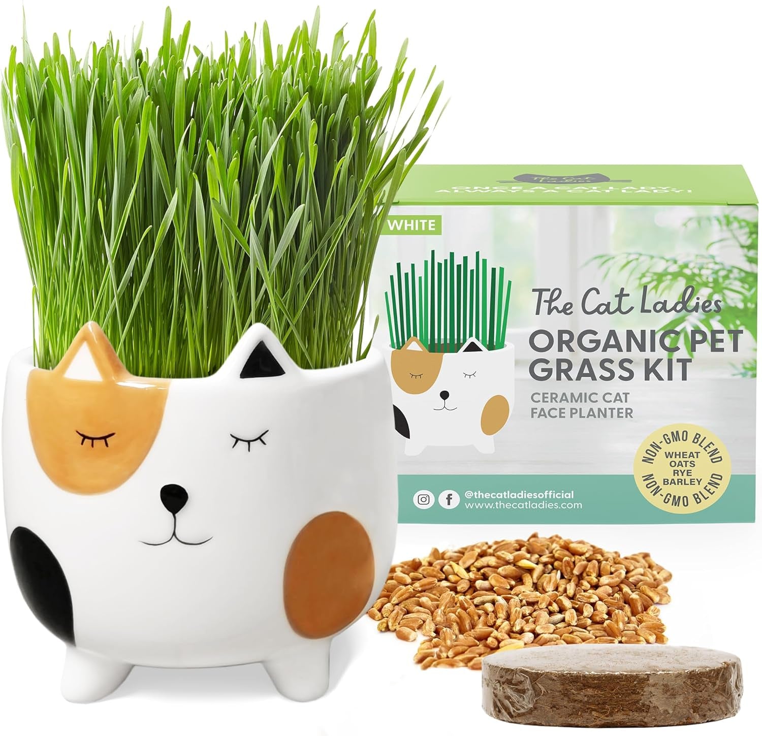 Organic Cat Grass for Indoor Cats  Growing Kit with Organic Seed Mix Soil and White Cat Planter. Natural Hairball Control and Digestion Remedy